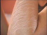 Furry-Armed Lori Anderson