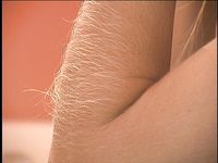 Furry-Armed Lori Anderson