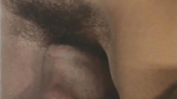 Beak Play and 69 Before Cock Insertion in Hairy Pussy  
Beak, 69, Cock in Hairy Pussy