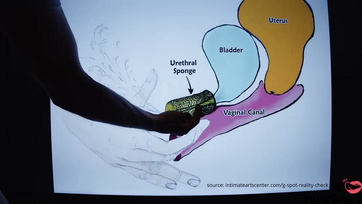 How a Pussy Squirts a Huge One TUTORIAL