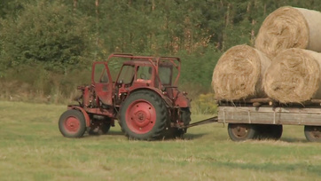 Farm Frenzy: Tight Ass of the Transylvanian Girl Gets Pounded