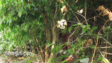 Lucky Farmer Meets Horny Girl with Wet Pussy on the Farm.