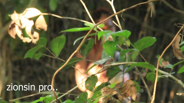 Lucky Farmer Meets Horny Girl with Wet Pussy on the Farm.