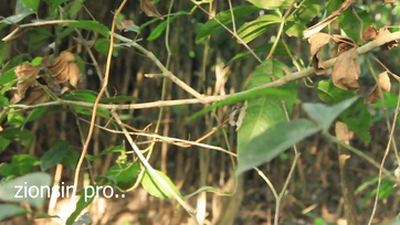 Lucky Farmer Meets Horny Girl with Wet Pussy on the Farm.