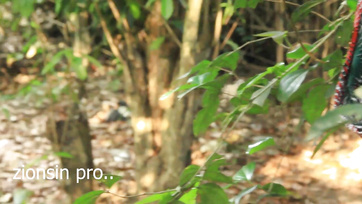 Lucky Farmer Meets Horny Girl with Wet Pussy on the Farm.