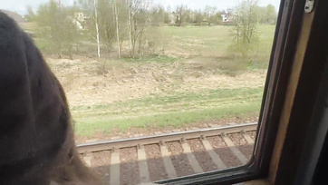 Quietly Banging Busty Girl on the Train