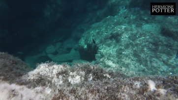 Szinte az egész nyaraláson csak keféltünk a dögös barátnőmmel amiből néhányat le is videóztam