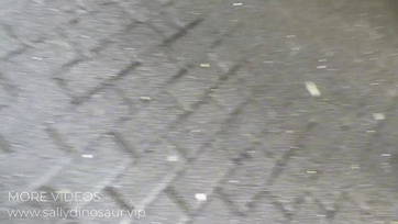 Az első randevún leszopott és lenyelte a spermámat a cuki német leányzó az óriáskerék tetején